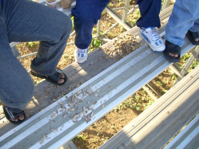 ２００６年１１、１２月。ジャマイカ最強チームの一つ「Ｐｏｒｔ　ｍｏｒｅ　Ｕｎｉｔｅｄ」合流！！ 075