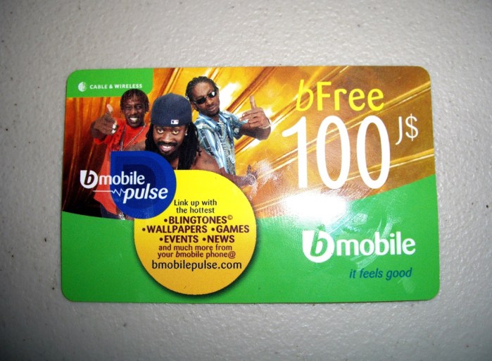 2006年11月23日。人生を賭けて…。Jamaica初上陸!!! 043