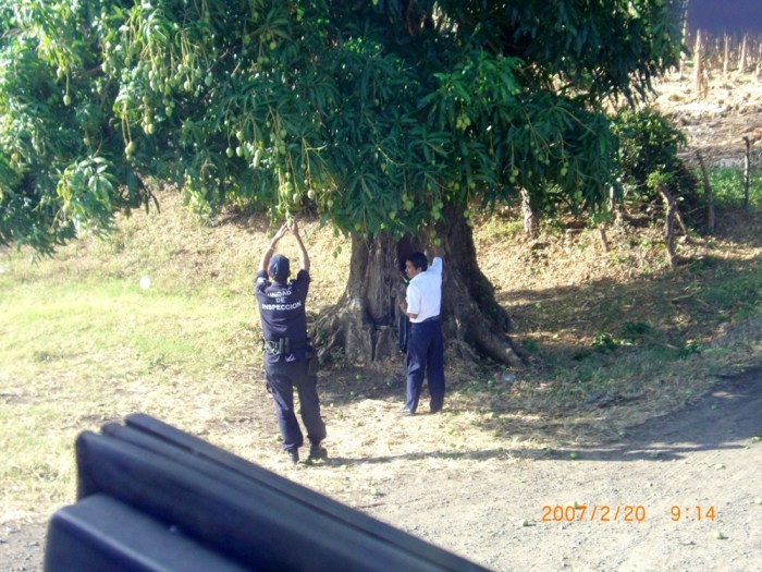 ２００７年２月１９日（月）～ホンジュラス→ニカラグア→コスタリカ→…ついに上陸パナマ！！ 005