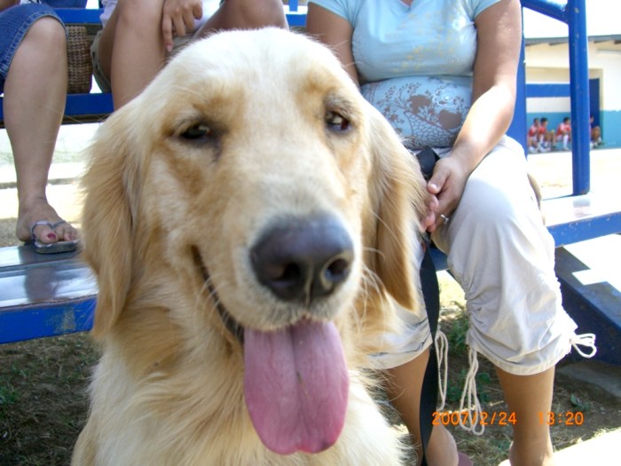 ２００７年２月２４日（土）ドナルド・サッカーアカデミー＆デリー・バルデス・サッカーアカデミー交流会！！（その2） 031