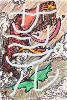 （サンプル）☆新潟から世界に羽ばたくヘビ！！2012年12月21日（金）