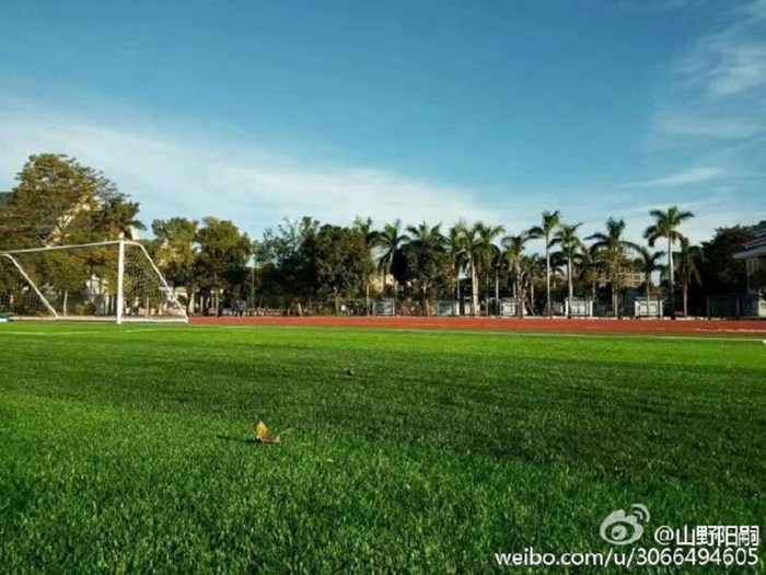 b6c6fe8dgw1fbeep5gktoj20m80go41c